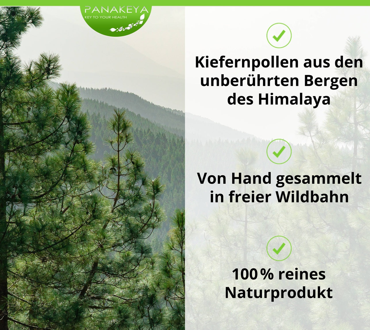 PANAKEYA® Hormone Balance – Nahrungsergänzungsmittel (100 g)